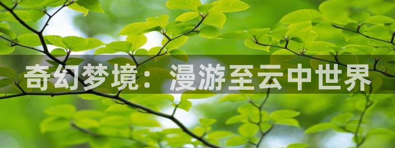 漫画大全里番：奇幻梦境：漫游至云中世界