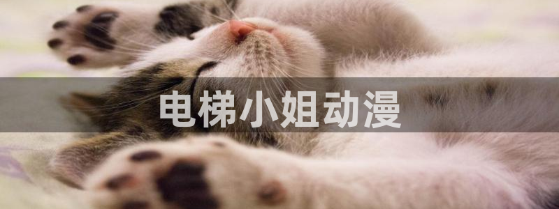 h动漫里番在线观看：电梯小姐动漫