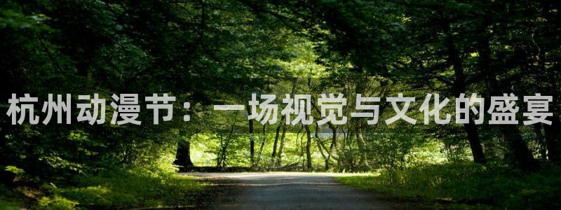 里番全彩漫画：杭州动漫节：一场视觉与文化的盛宴