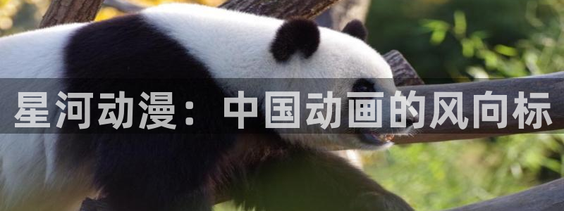 里番好看的动漫：星河动漫：中国动画的风向标