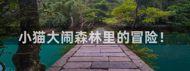 里番动漫视频在线观看：小猫大闹森林里的冒险！