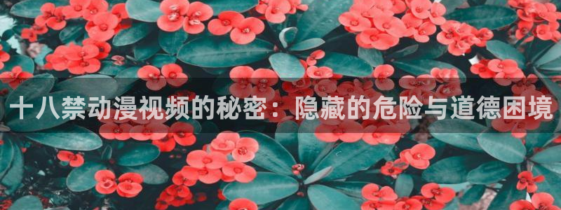 acg里番动漫：十八禁动漫视频的秘密：隐藏的危险与道德困境