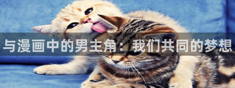 动漫里番在线免费观看：与漫画中的男主角：我们共同的梦想