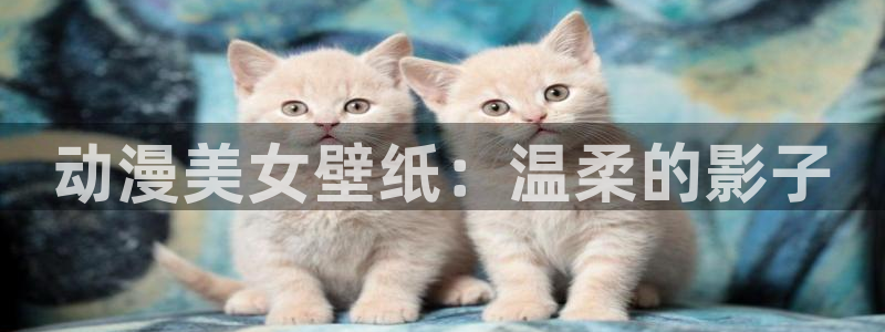 免费动漫大全里番：动漫美女壁纸：温柔的影子