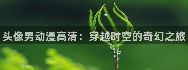日本里番动漫电影：头像男动漫高清：穿越时空的奇幻之旅