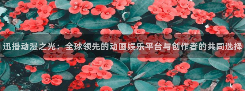 里番动画吧：迅播动漫之光：全球领先的动画娱乐平台与创作者的共同选择