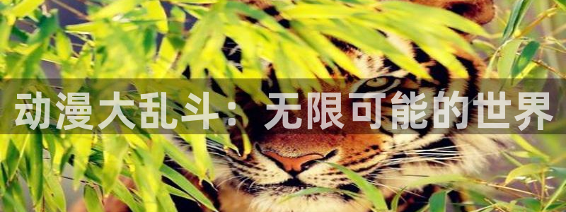 里番动漫樱花动漫：动漫大乱斗：无限可能的世界
