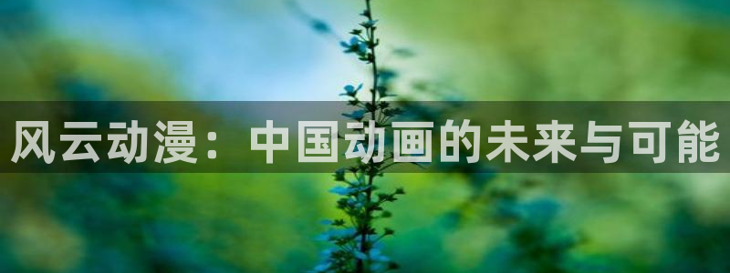 里番漫画大全：风云动漫：中国动画的未来与可能