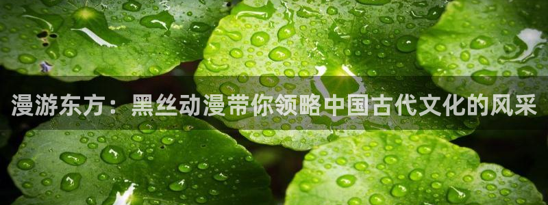 里番动漫2：漫游东方：黑丝动漫带你领略中国古代文化的风采
