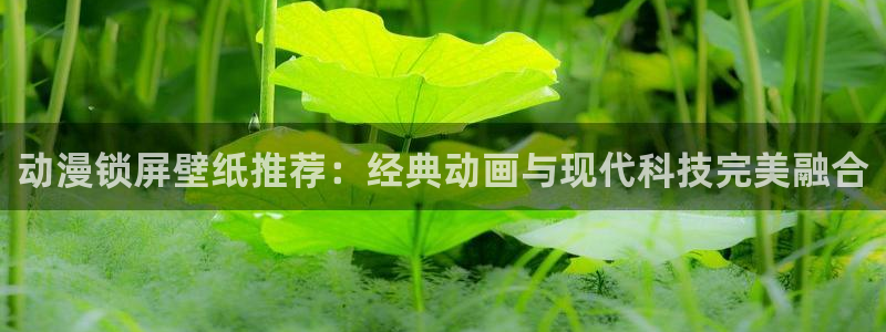 日漫里番网站：动漫锁屏壁纸推荐：经典动画与现代科技完美融合