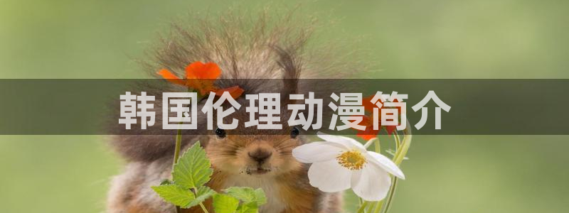 星辰动漫里番：韩国伦理动漫简介
