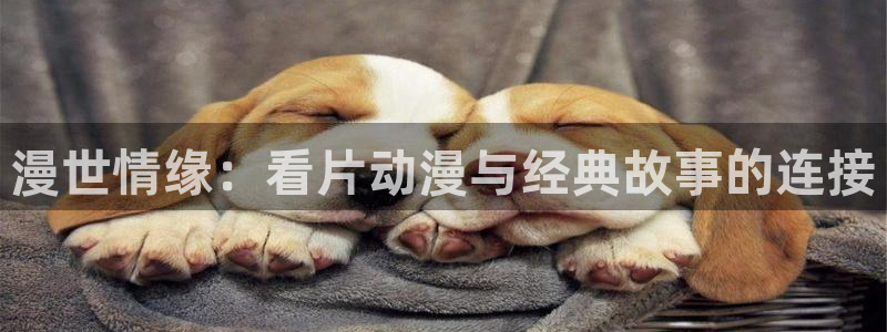 动漫里番：漫世情缘：看片动漫与经典故事的连接