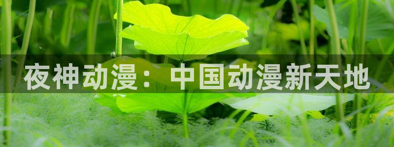 人妻里番动漫：夜神动漫：中国动漫新天地