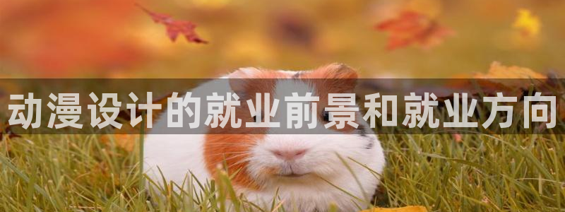 动漫里番在线播放：动漫设计的就业前景和就业方向