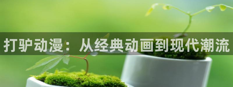 里番动漫免费网站：打驴动漫：从经典动画到现代潮流
